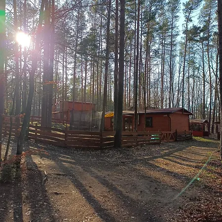 Orman Evi Nad Jeziorem *