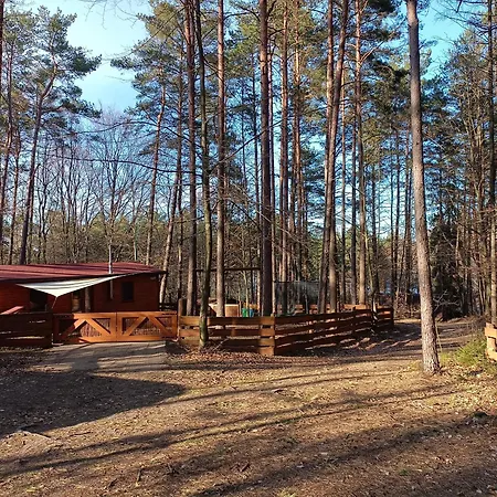 Nad Jeziorem Orman Evi *