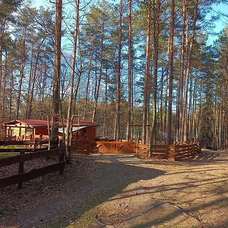 Nad Jeziorem Orman Evi Kamienica Krolewska